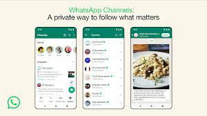 Whatsapp下载备份从谷歌驱动器