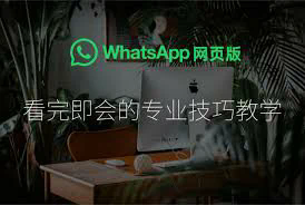 Whatsapp ios系统