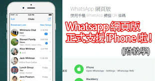 Whatsapp在线状态检查器