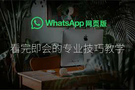 whatsapp apk 下载